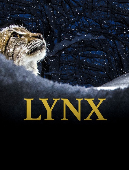 Lynx