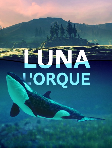 Luna, l'orque