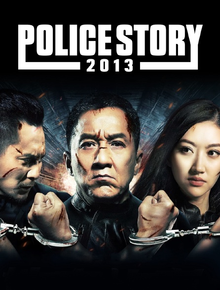 Police Story 2013