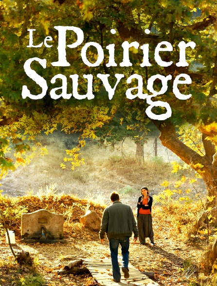 Le poirier sauvage