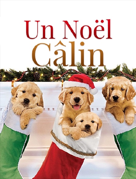 Un Noël câlin