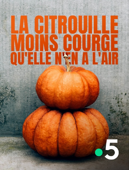 France 5 - La citrouille, moins courge qu'elle n'en a l'air