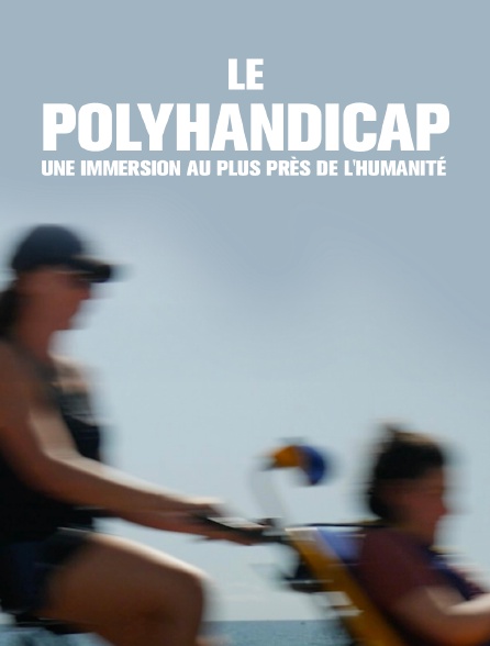 Le polyhandicap : une immersion au plus près de l'humanité