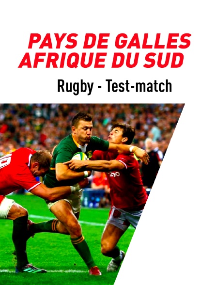 Rugby - Test-match : Pays de Galles / Afrique du Sud - 20/08/2023 à 19h10