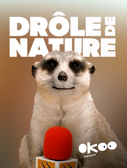 Okoo - Drôle de nature