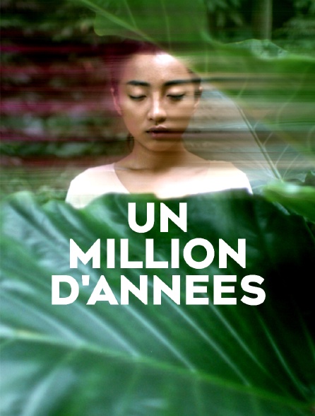 Un million d'années