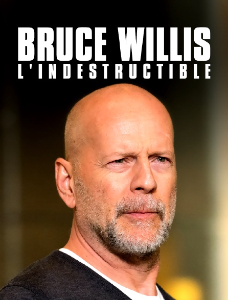 Bruce Willis, l'indestructible