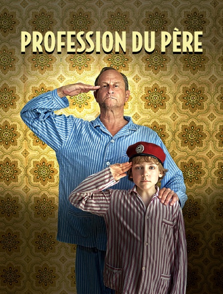 Profession du père