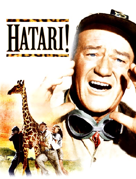 Hatari !