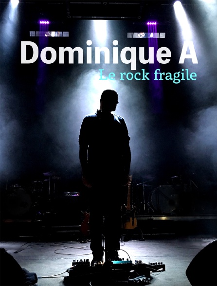 Dominique A, le rock fragile