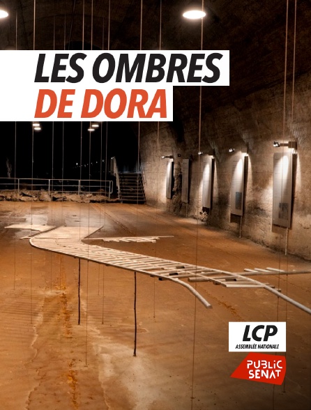 LCP Public Sénat - Les ombres de Dora - 23/09/2024 à 20h30