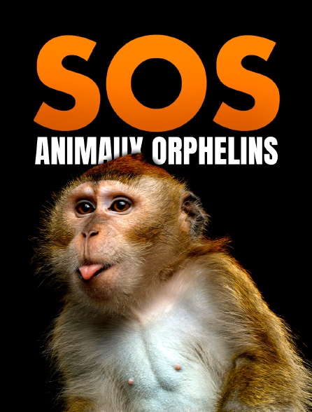 SOS animaux orphelins