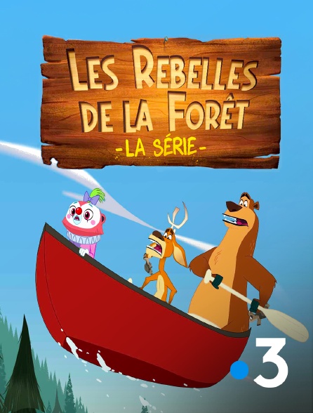 France 3 - Les rebelles de la forêt, la série