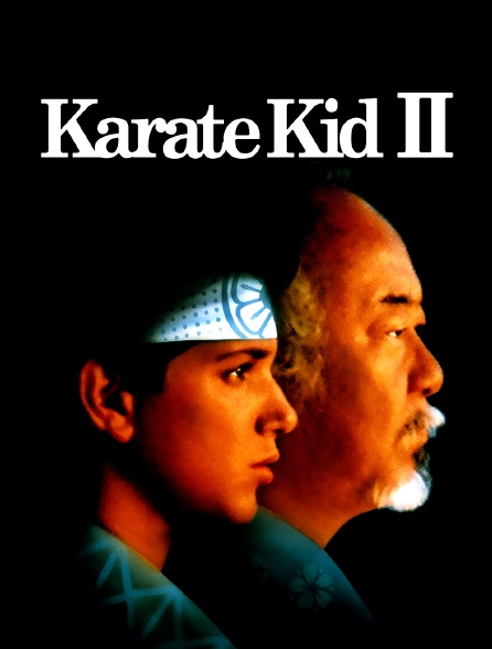 Karate Kid : le moment de vérité II