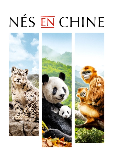 Nés en Chine