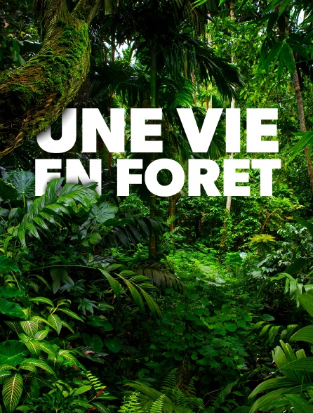 Une vie en forêt