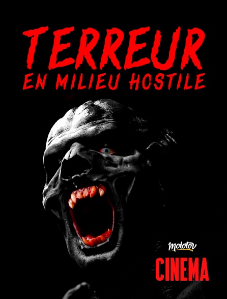 Molotov Channels Cinéma - Terreur en milieu hostile