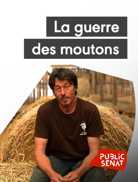 Public Sénat - La guerre des moutons