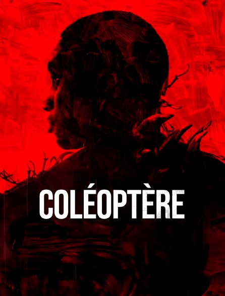 Coléoptère