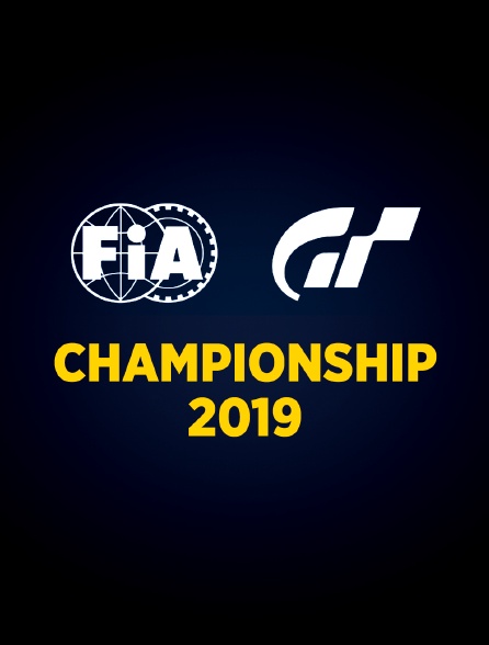 FIA GT CHAMPIONSHIPS 2019 - 03/05/2020 à 14h00