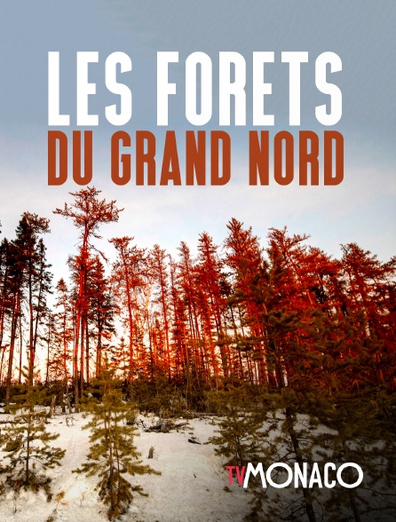 TV Monaco - Les forêts du Grand Nord - 06/10/2024 à 20h30