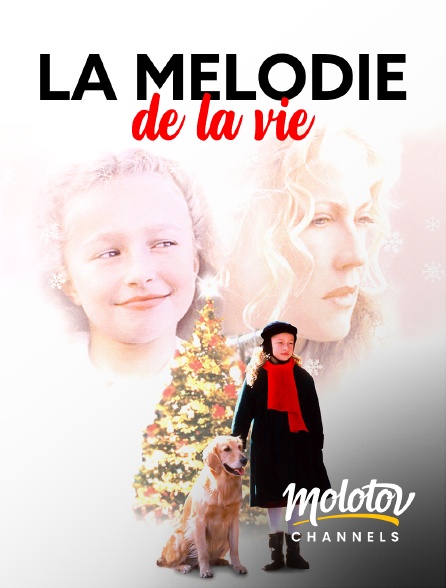 Molotov channels - La mélodie de la vie