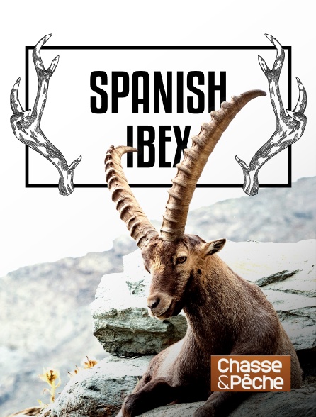 Chasse et pêche - Spanish ibex - 20/09/2024 à 10h58