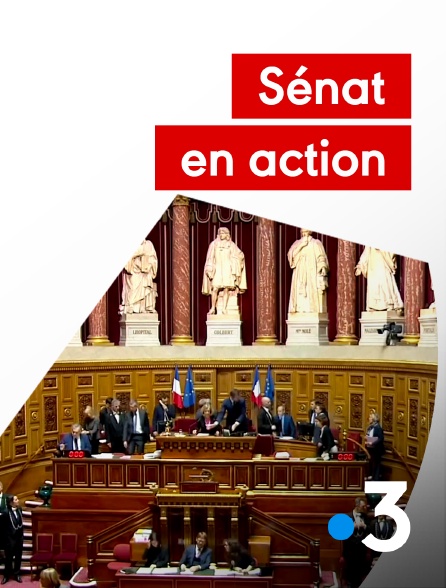 France 3 - Sénat en action - 15/02/2024 à 01h01