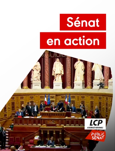 LCP Public Sénat - Sénat en action - 05/10/2024 à 18h34