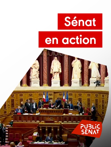 Public Sénat - Sénat en action - 06/10/2024 à 13h59