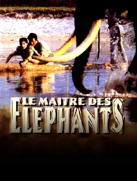 Le maître des éléphants