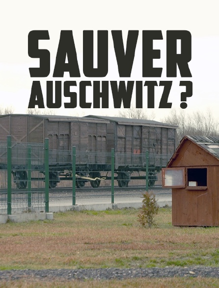 Sauver Auschwitz ?