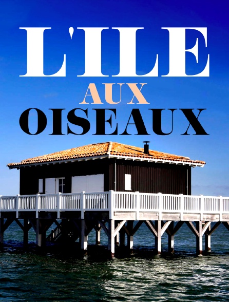 L'Île aux oiseaux