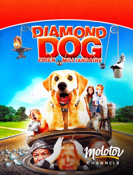 Molotov channels - Diamond Dog : chien milliardaire