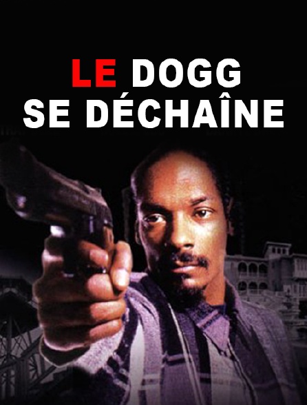 Le Dogg se déchaîne