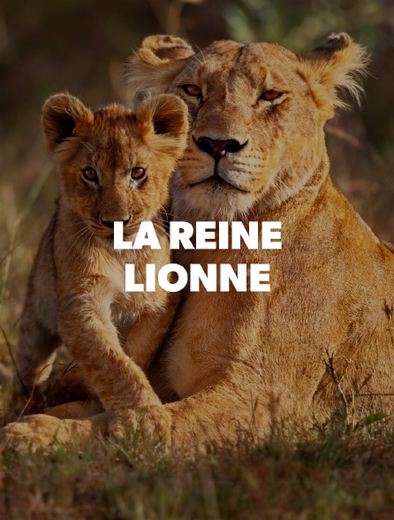 La reine lionne