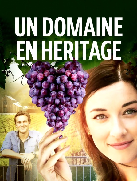 Un domaine en héritage