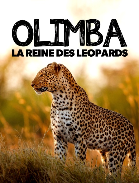 Olimba, la reine des léopards