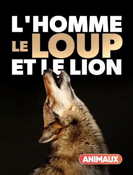 Animaux - L'homme, le loup et le lion - 15/09/2024 à 07h40