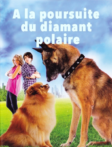 A la poursuite du diamant polaire