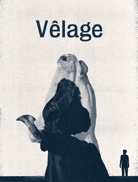 Vêlage