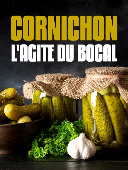 Cornichon, l'agité du bocal