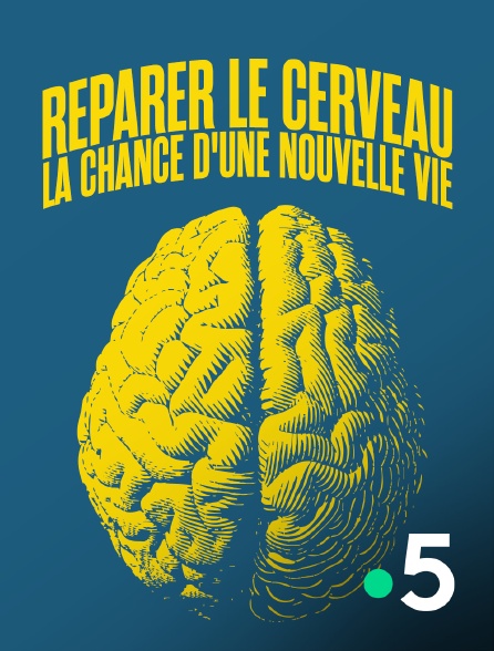 France 5 - Réparer le cerveau, la chance d'une nouvelle vie