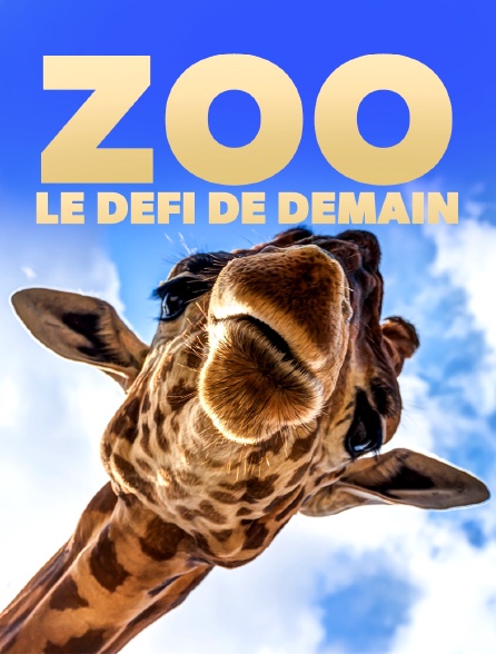 Zoo : le défi de demain - 24/12/2023 à 10h55