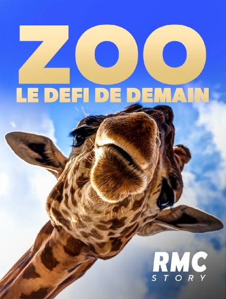 RMC Story - Zoo : le défi de demain