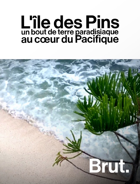 Brut - L'île des Pins, un bout de terre paradisiaque au cœur du Pacifique