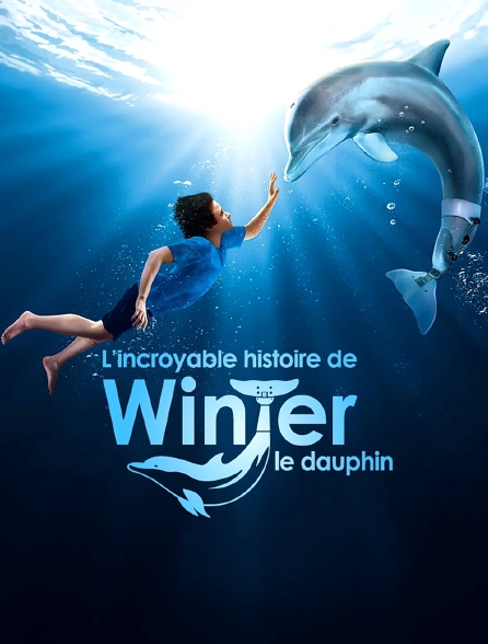 L'incroyable histoire de Winter le dauphin