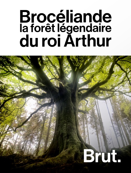 Brut - Brocéliande : la forêt légendaire du roi Arthur