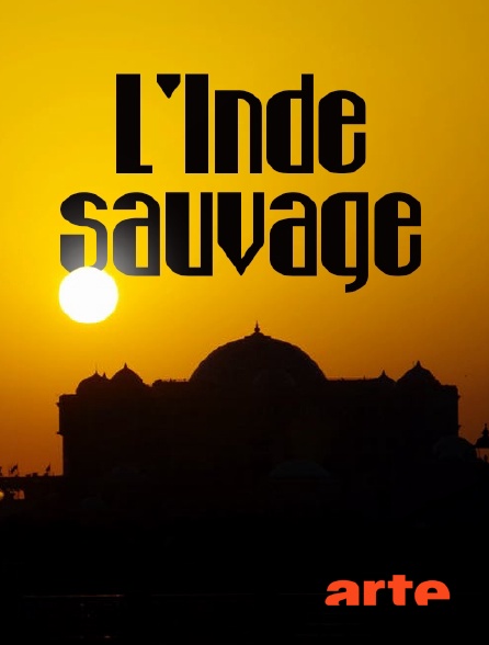 Arte - L'Inde sauvage - 23/09/2024 à 16h35