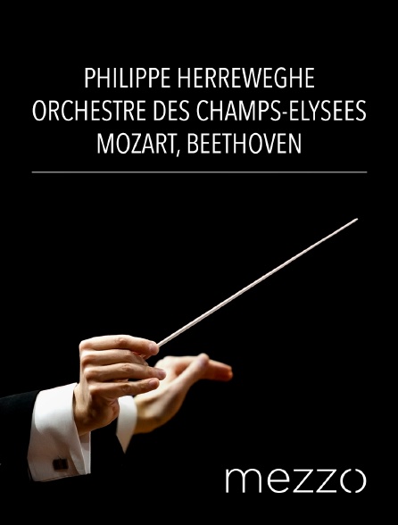 Mezzo - Philippe Herreweghe, Orchestre des Champs-Elysées : Mozart, Beethoven